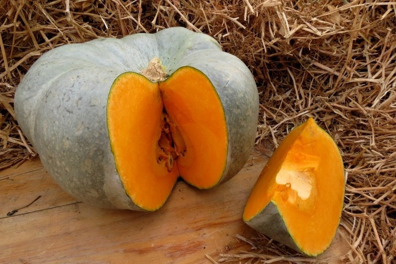 Тыква Сампсон F1 фото 2