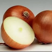 Лук Визион F1 фото 1