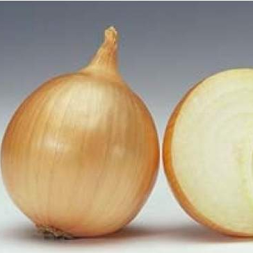 Лук Веллингтон F1 фото 1