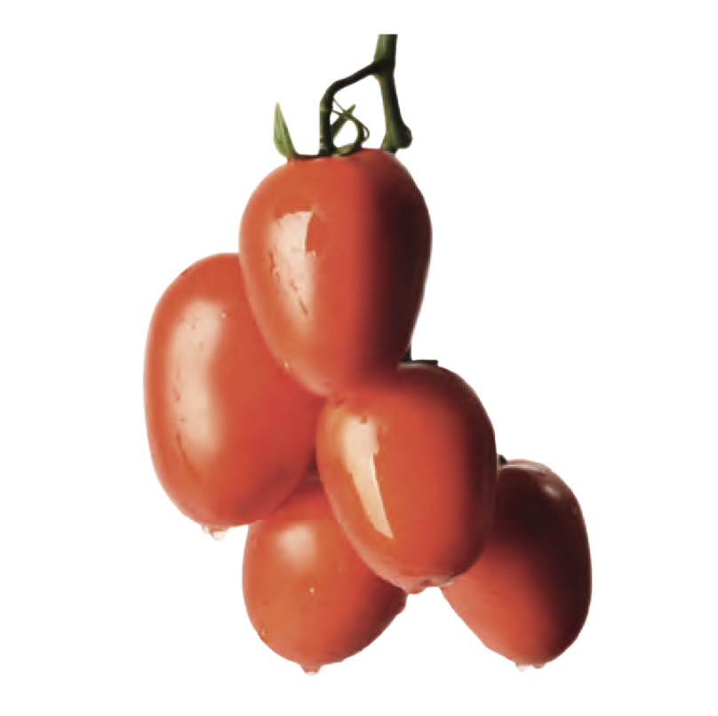 Семена томатов Тукано F1 фото 2