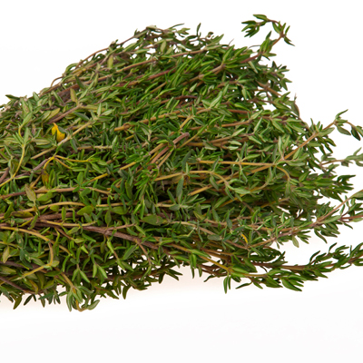 Тимьян Герман Винтер