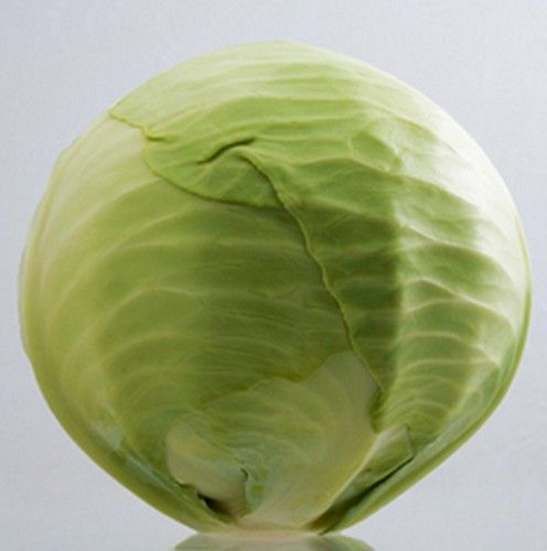 Капуста белокочанная Парадокс F1 фото