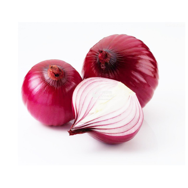 Лук Прометей фото 1