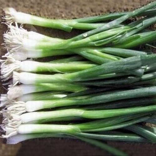 на перо Байа Верде F1