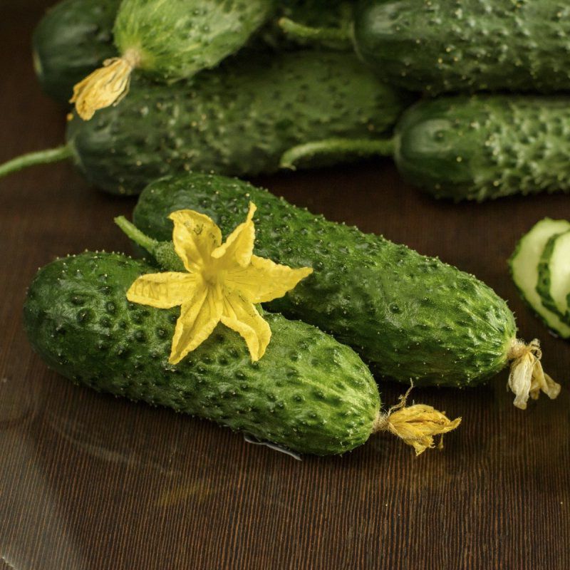 Огурец Абсолют F1 фото 2