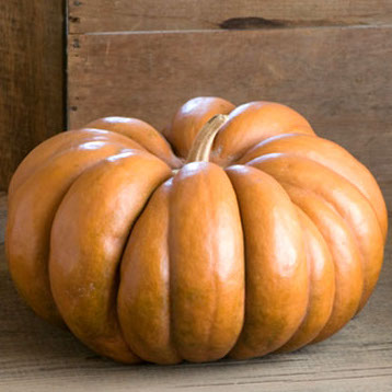 Тыква Мускат де Прованс фото 2