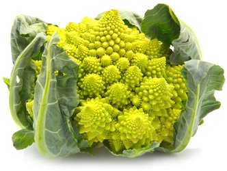 Капуста цветная романеско Вероника F1 фото 2