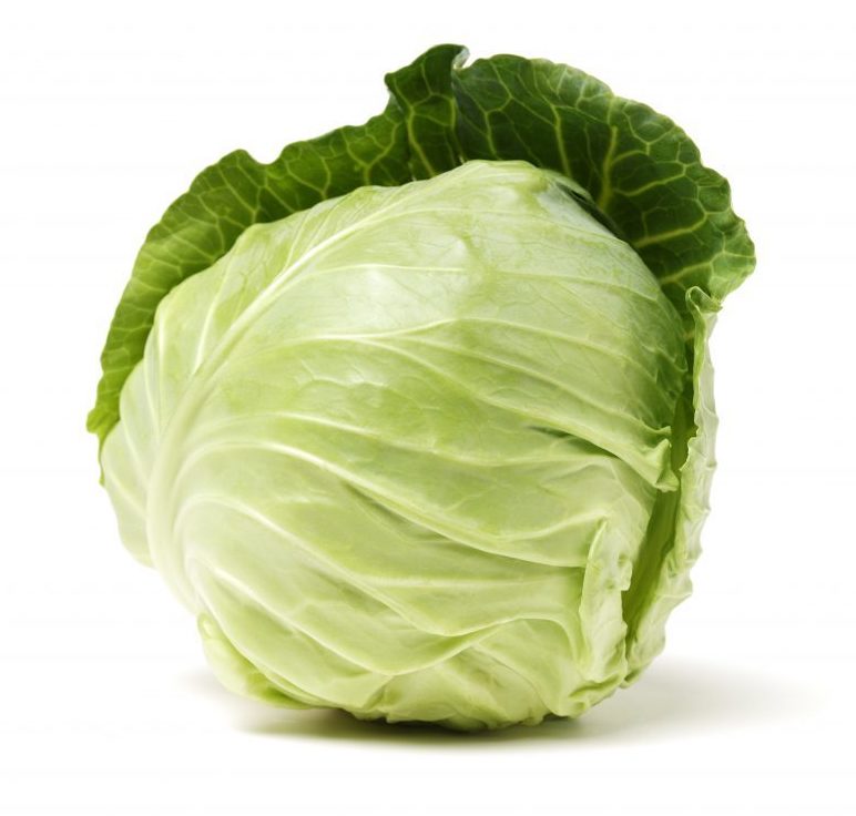Как выглядит капуста белокочанная Мензания F1