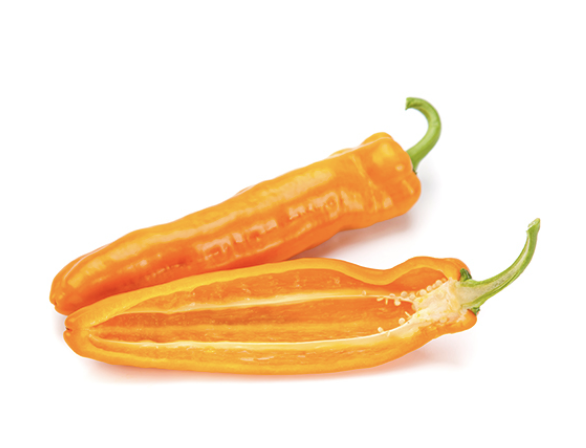 Палермо Обедиус F1