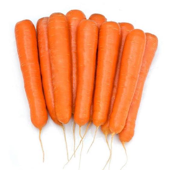 Морковь Октаво F1  фото 2