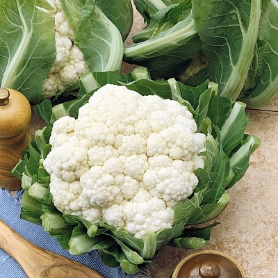 Капуста цветная Кандид Шарм F1 фото 2