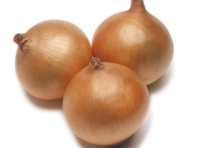 Лук Рекс F1 фото 1