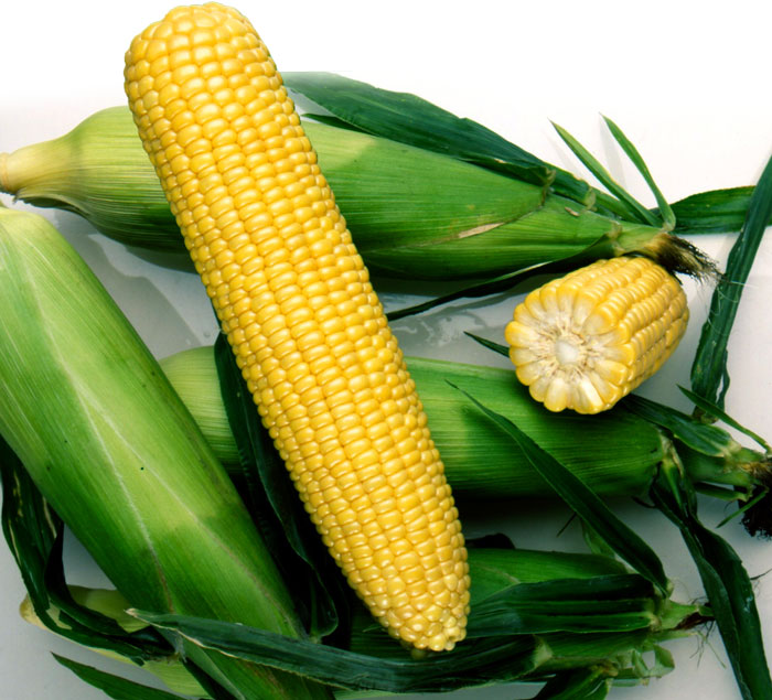 Кукуруза Ноа F1 фото 2