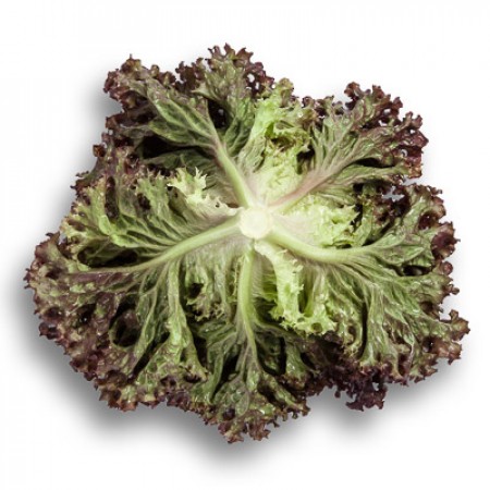 Салат Сенсибель фото 2