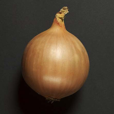 Лук Центро F1 фото 1