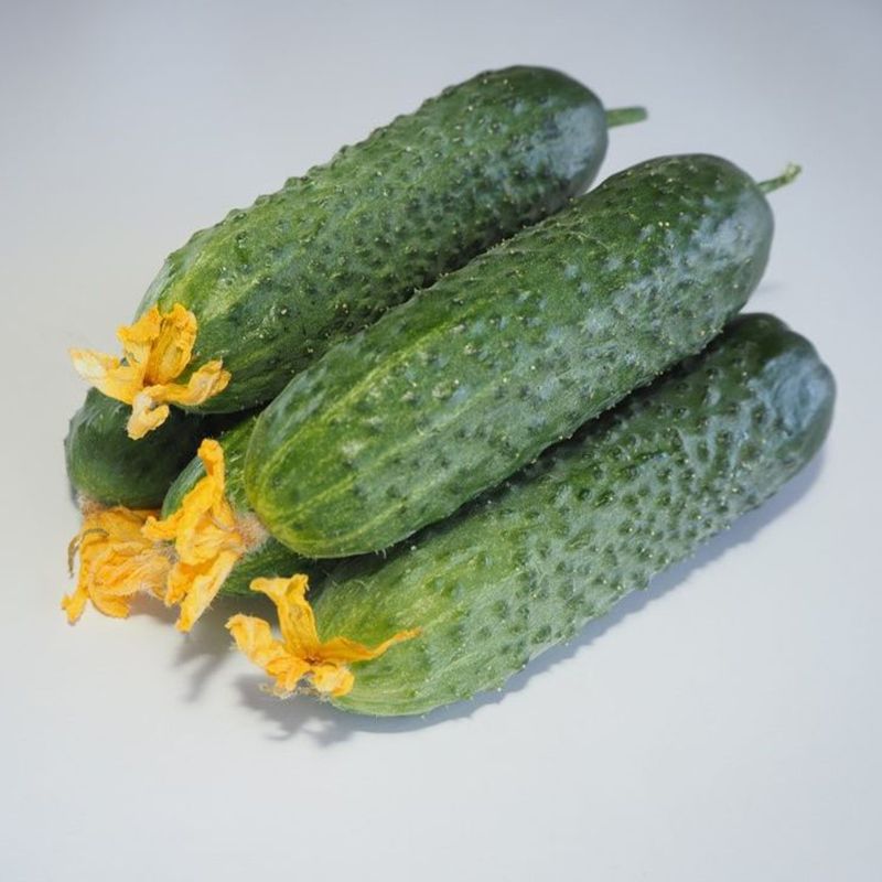 Огурец Мадейра F1 фото 2