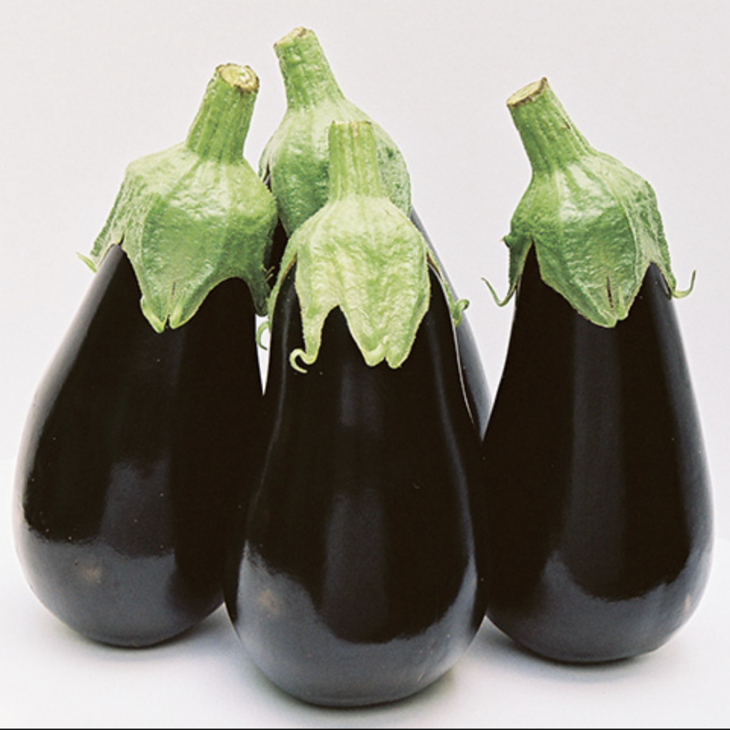 Семена баклажанов Блэк Перл F1 фото 2