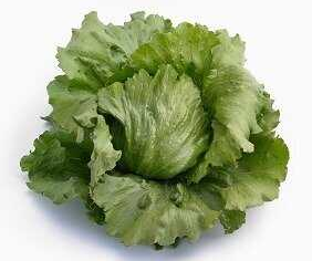 Салат Айс Сиркл фото 2