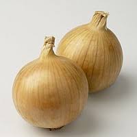 Лук Нерато F1 фото 1