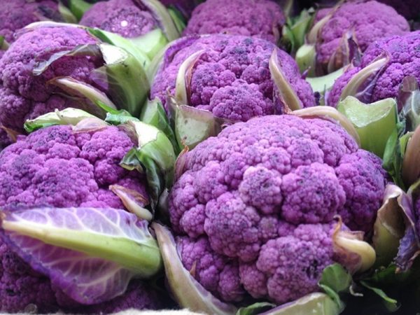 Капуста цветная Деперпл  F1 фото 2