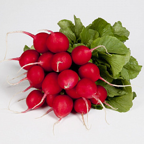 Редис Валери F1 фото 2