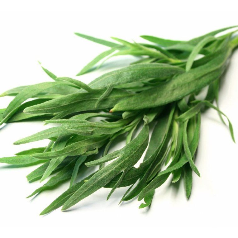 Эстрагон Леннарт