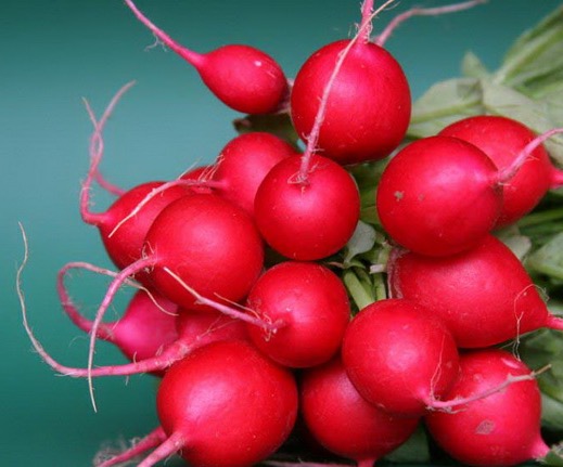 Редис Рондар F1 фото 2