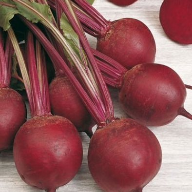 Свекла Пабло F1 фото 2