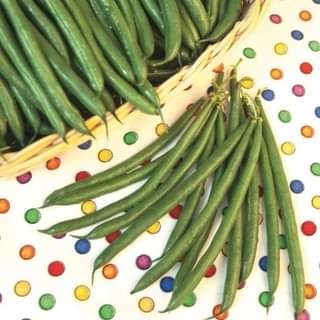 Спаржевая фасоль Алдрин фото 2