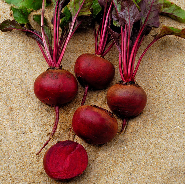 Свекла Камаро F1  фото 2