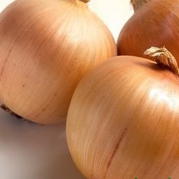 Лук Прогрессион F1 фото 1