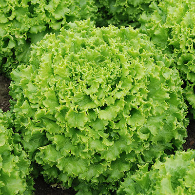 Салат Маритима фото 2