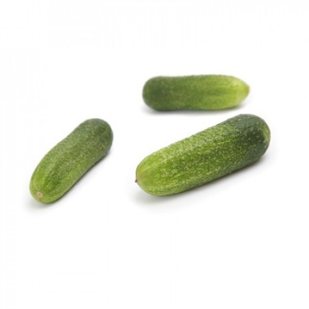 Огурец Рэппер F1 фото 2