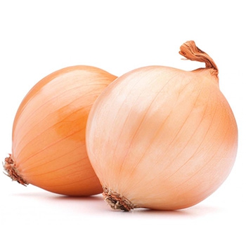 Лук Музыка F1 фото 1