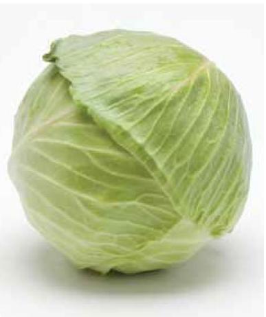 Капуста белокочанная Оклахома F1 фото