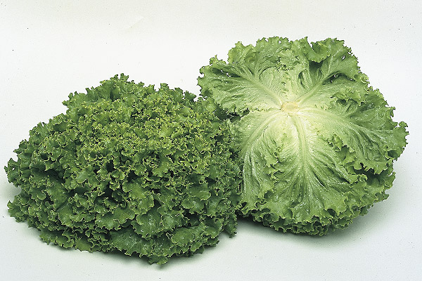 Салат Аннисоль фото 2