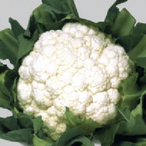 Капуста цветная Уайт Эксель F1 фото 2