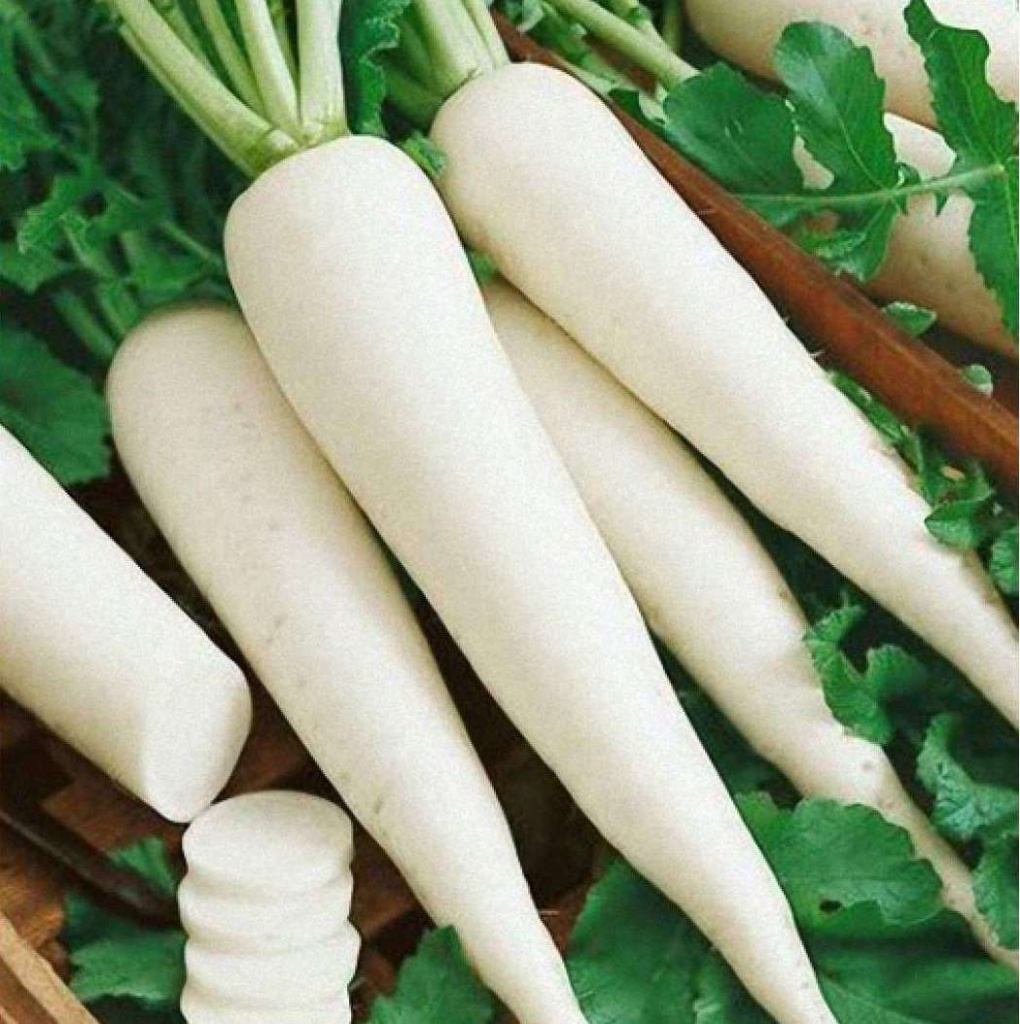 Семена дайкона фото 2