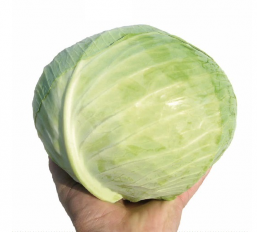 Капуста белокочанная Ферро F1 фото