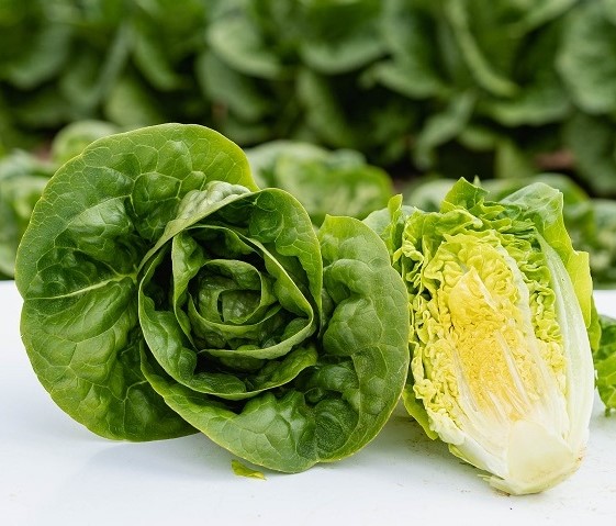 Салат Альмадраба фото 2