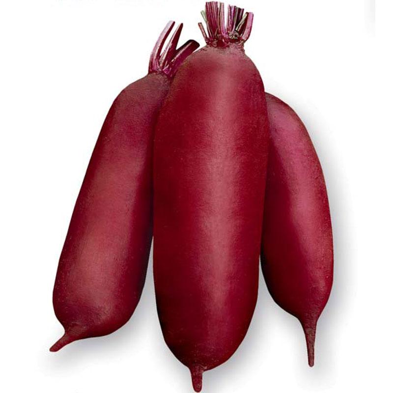 Свекла Родена F1 фото 2