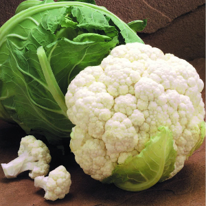 Капуста цветная Кортес F1 фото 2