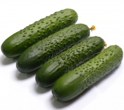 Огурец Спино F1 фото 2