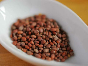 Семена редиса