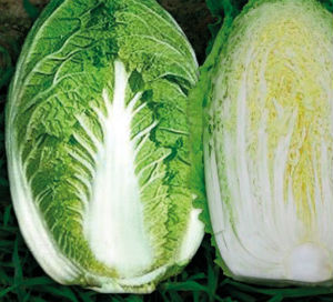 Семена пекинской капусты